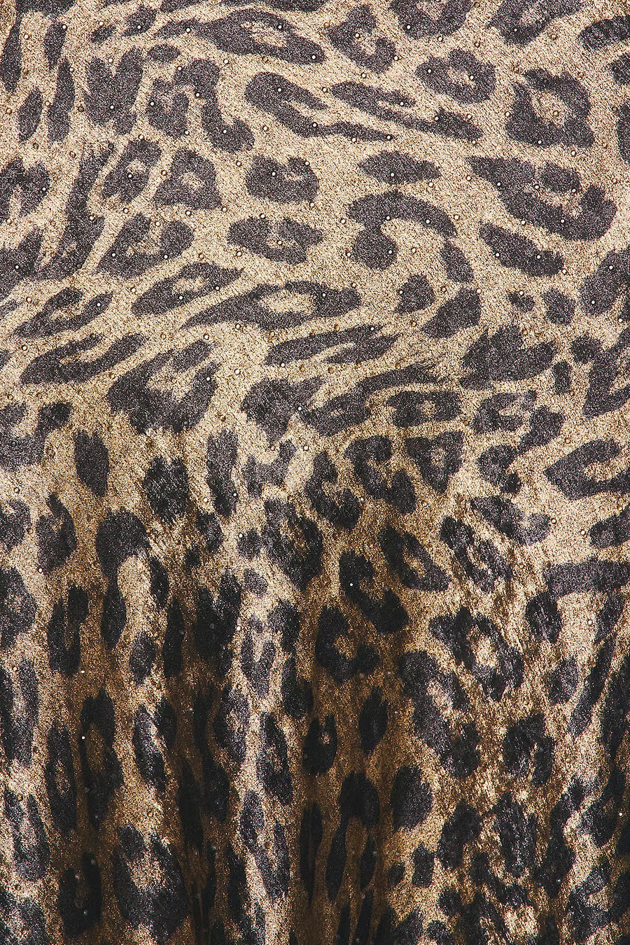Safi Leopard Dress